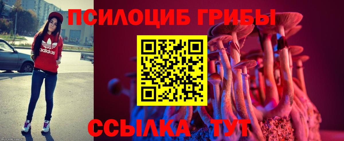 Галлюциногенные грибы Magic Shrooms  наркотики  Новозыбков  Вход с VPN 