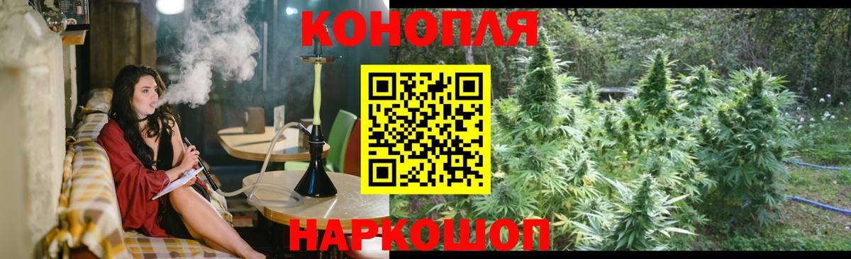 Бошки марихуана индика Новозыбков